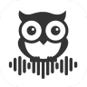 Proactor AI – Transcribe