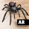 ARSpiders.com: Spider on Face