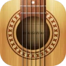 Real Guitar: acoustic electric