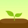 Forest: Rimani concentrato