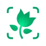 PictureThis Identificar Planta