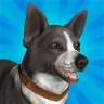 Pocket Paws: Meine süßen Hunde
