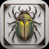 Käfer & Insekten Bestimmen