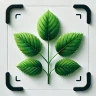 Planten Herkennen - Plantio