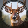 Apex Hunter: Animal Shooting
