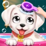 Puppy Spa & Salon