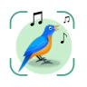 Vogelgeluiden Herkennen NL