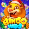 Bingo Wild - Bingo Clásico
