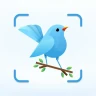 Identification des oiseaux