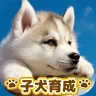 子犬のかわいい育成ゲーム - 癒しの犬育成アプリ