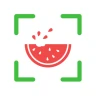 NutriPic: Contatore Calorie