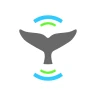 Whale Alert