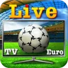 Calcio in diretta TV Euro
