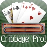 Cribbage Pro Online!