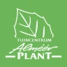 Almeerplant
