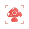 Picture Mushroom - Pilzführer