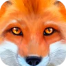 Ultimate Fox Simulator