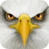 Ultimate Bird Simulator