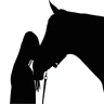Chevaux - Quiz