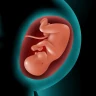 Astha Pregnancy