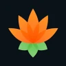 Lotus Chess – Trainer