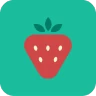 BLW Meals: Starting Solids