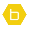 b-hyve Pro