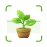 Plantas Identificador cuidado