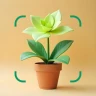 花の名前を調べる: しょくぶつ図鑑 - 樹木判別