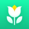 Plant Parent - Guida alla Cura