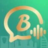 Bota - Voice Chat Party