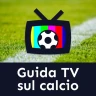 Calcio e TV: Le partite in TV
