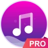 Music player - pro version