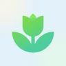 PlantApp - Plantidentificatie