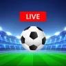 Football Live Scores & News
