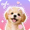 Stickify: Sticker Maker