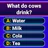 Trivia