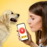 犬語翻訳アプリ: 犬の言葉がわかるアプリ