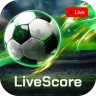 Futbol Resultados En Directo