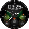 H310 Artistic Hybrid Watch