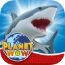 PLANET WOW® Sharks
