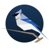 BirdNET Live