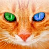 人猫語翻訳機