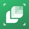 Planten Herkennen: LeafSnap