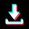 SnapTok - TT Video Downloader