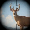 Trophy Hunter: Jagdspiele – 3D