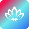 Lotus Lantern