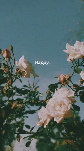 aesthetic wallpaper