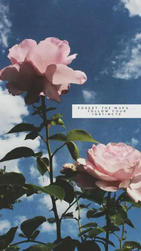 aesthetic wallpaper
