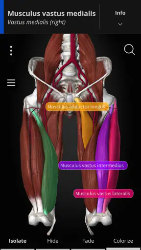 Anatomyka - 3D Anatomy Atlas